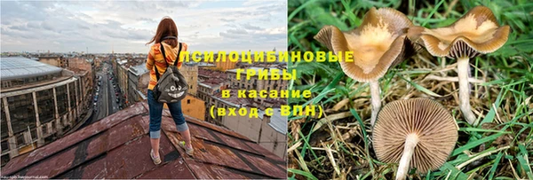 марихуана Зеленокумск