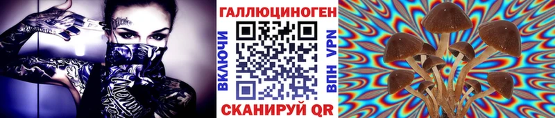 Галлюциногенные грибы GOLDEN TEACHER  цена наркотик  Лиски 